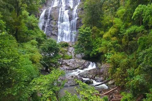 Vườn quốc gia Phước Bình - Điểm đến sinh thái lý tưởng mùa hè này