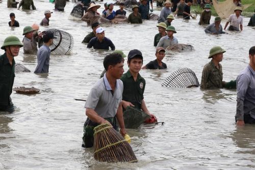 Cả làng nghìn người vác nơm lao xuống đầm trong lễ hội bắt cá vui nhộn ở Hà Tĩnh