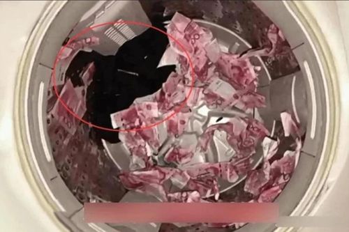 Méo mặt với những 'thảm họa' giặt đồ không tưởng, nhìn mà thót tim