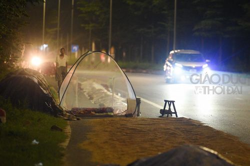 Người dân chăng màn dưới lòng đường để trông lúa