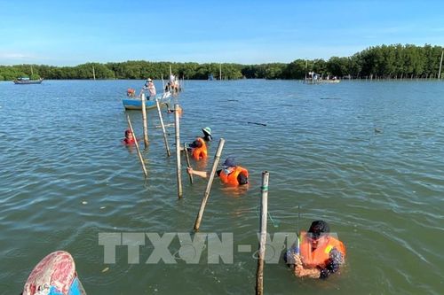 Bình Định đã giải quyết dứt điểm tình trạng lấn chiếm trái phép đầm Thị Nại