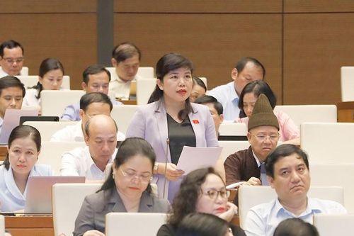 Dự án Luật Thanh tra (sửa đổi): Hoạt động thanh tra, kiểm toán còn chồng chéo, trùng lặp