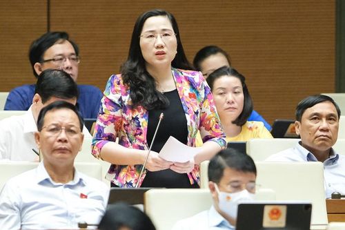 Đại biểu quốc hội: Cần quy định rõ xã hội hóa y tế, liên doanh, liên kết trong bệnh viện