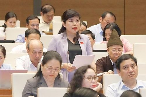 Khắc phục, tiến tới không còn chồng chéo, trùng lặp giữa thanh tra và kiểm toán