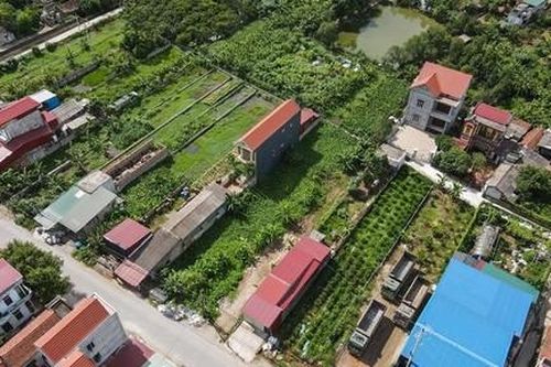 TPHCM kiến nghị tháo gỡ cấp sổ đỏ cho một số trường hợp xây nhà trên đất nông nghiệp