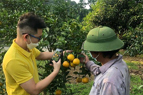 Để bưu chính là nền tảng kinh tế số nông nghiệp