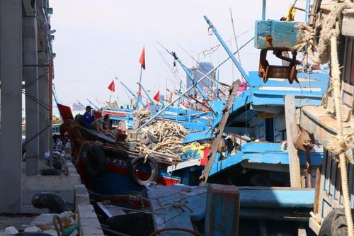 Đà Nẵng: Tàu cá 'mắc cạn' trong giá xăng dầu
