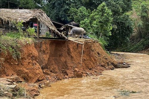 Lào Cai: Nhiều tuyến đường, hàng trăm ngôi nhà bị ngập úng, chia cắt