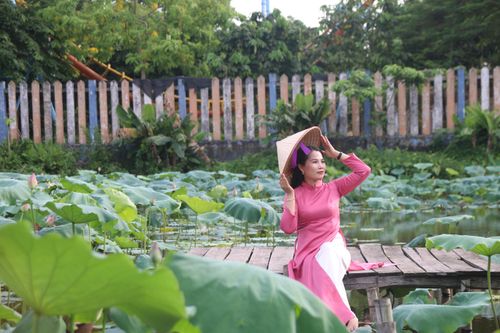 Người dân từ các tỉnh lân cận đổ về Hà Nội chụp ảnh mùa sen