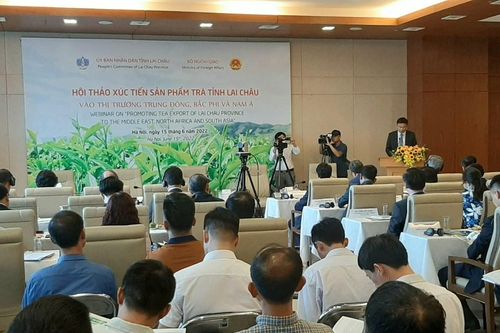 Trà Lai Châu tìm đối tác mới tại thị trường Trung Đông, Bắc Phi và Nam Á