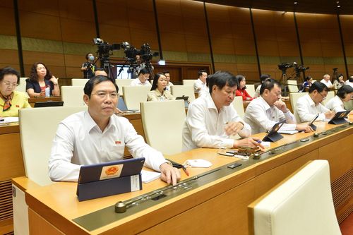 Xử lý kịp thời, nghiêm minh các hành vi vi phạm pháp luật về quy hoạch