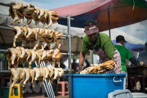 Singapore tìm giải pháp cho cuộc 'khủng hoảng cơm gà'
