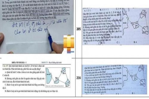 Vụ lộ đề thi môn Sinh học: Khung hình phạt cao nhất là phạt tù tới 15 năm