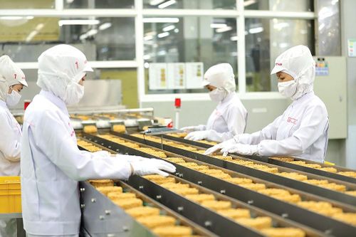 EU thông báo ngừng kiếm soát khẩn cấp đối với bún, miến, phở, bánh đa của Việt Nam