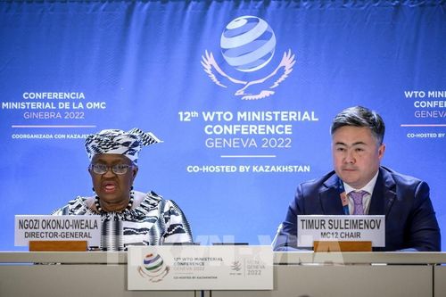 Tổng Giám đốc WTO kêu gọi các nước đồng thuận với gói thỏa thuận thương mại chưa từng có