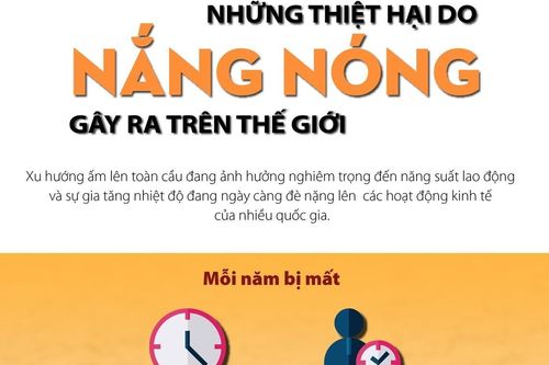 Những thiệt hại do nắng nóng gây ra trên thế giới