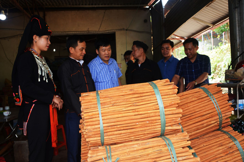 'Trái tim Đan-kô' soi lối Vàng Ngần