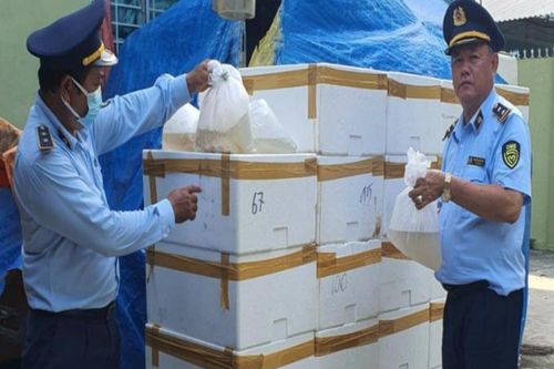 Phát hiện nhập lậu 360.000 con tôm càng xanh giống từ Thái Lan