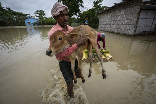 Hàng triệu người điêu đứng vì trận lũ chết chóc ở Ấn Độ và Bangladesh