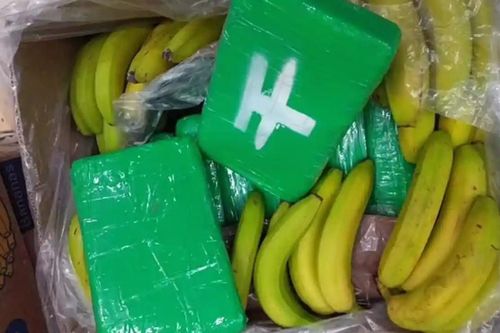 Phát hiện 840kg cocaine trong thùng chuối ở siêu thị Séc