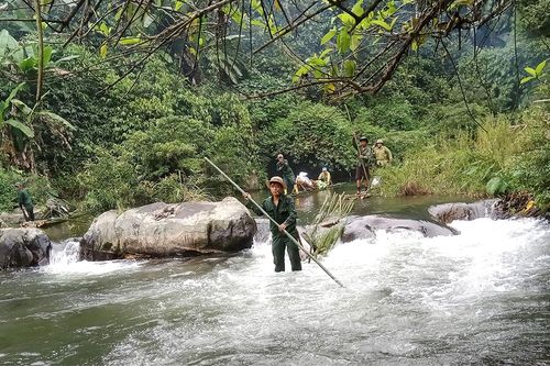'Biệt đội' giải cứu thú rừng