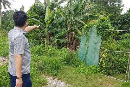 Hải Dương: Dân tố người nhà cán bộ xã 'ôm' 9ha đất quai đê lấn triều của hàng ngàn người