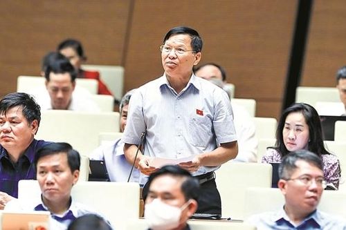 Góp phần quan trọng vào thành công của kỳ họp