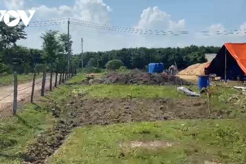 Người đàn ông ở Bình Phước tử vong bên hàng rào thép gai có điện