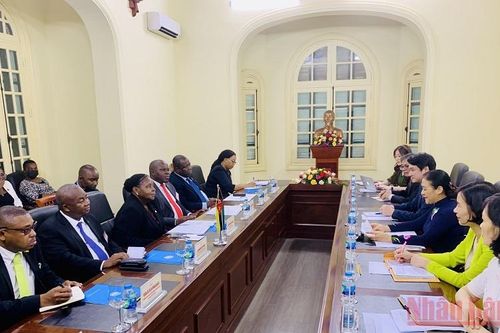 Thúc đẩy mối quan hệ hợp tác hữu nghị Việt Nam-Mozambique