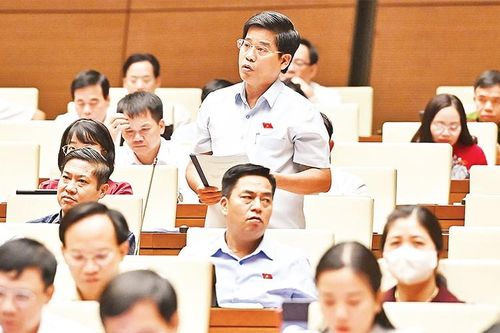 Phát biểu tại nghị trường: Quyền & Trách nhiệm