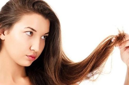 Vai trò của tóc, da, lông và móng