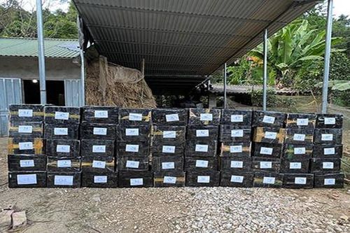 Bắt tạm giam bị can vận chuyển trái phép qua biên giới số hàng hóa trị giá hơn 1 tỷ đồng