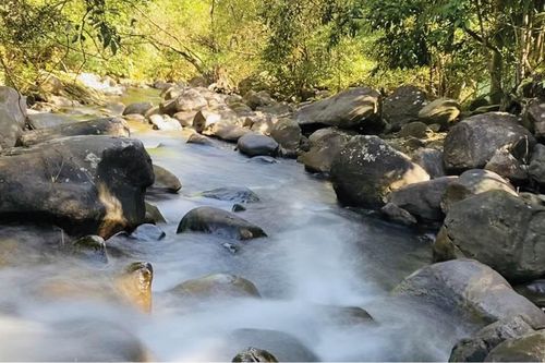Hòa mình vào thiên nhiên ở suối Hợp Hai (Thừa Thiên Huế)