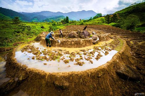 Mùa nước đổ dưới chân Puxailaileng