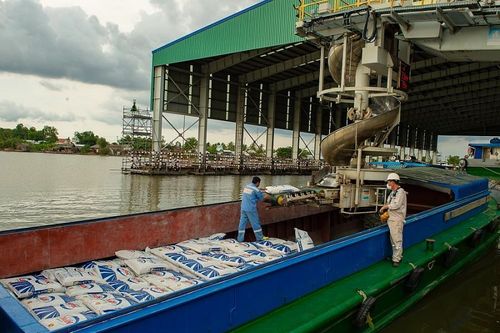 Giá phân urê giảm nhiệt nhẹ: Liệu có được lâu dài?