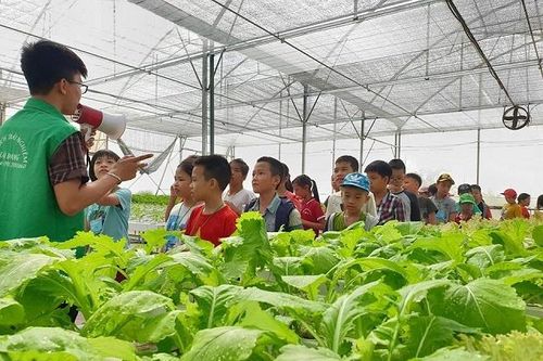 Du lịch nông thôn tôn thêm giá trị cho sản phẩm OCOP