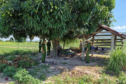 Đâm trọng thương nhân viên bảo vệ để trả thù