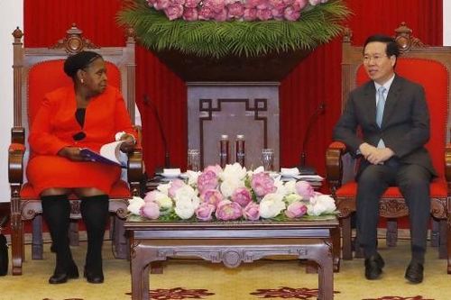 Đảng FRELIMO mong muốn học hỏi kinh nghiệm xây dựng Đảng, phát triển kinh tế của Việt Nam