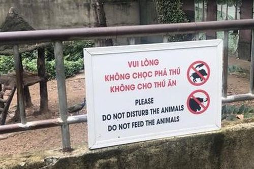 Báo động tình trạng du khách ném đồ vào chuồng thú