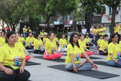 TP.HCM: Gần 1.000 người đồng diễn tại Ngày Quốc tế Yoga lần thứ 8