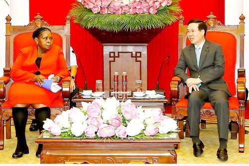 Việt Nam và Mozambique còn nhiều dư địa phát triển