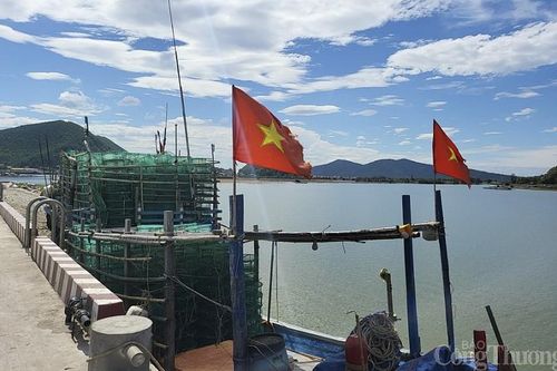 Nghệ An: Nhức nhối khai thác hải sản kiểu tận diệt