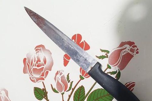 Chủ nhà đâm tử vong người giao trái cây trong lúc nhậu