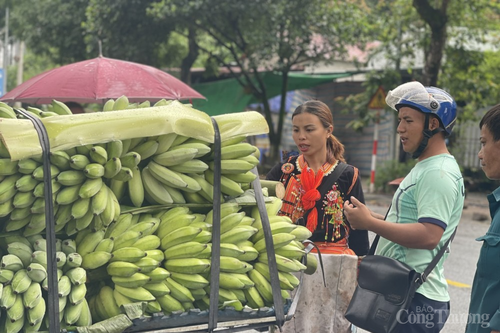 Lai Châu: Nông sản xuất khẩu sang Trung Quốc xuống giá