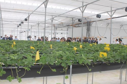 Hàn Quốc hỗ trợ Việt Nam phát triển nông nghiệp thông minh