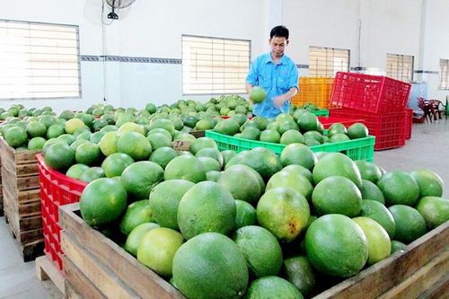 Đừng tự 'hạ giá' nông sản Việt khi xuất khẩu sang thị trường Mỹ
