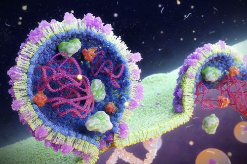 Cách virus 'thống trị' đại dương