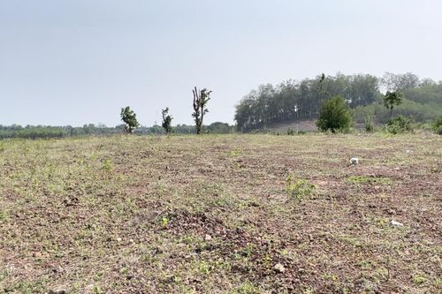 Bà Rịa - Vũng Tàu: Sẽ định giá bổ sung 70 khu đất để thực hiện dự án
