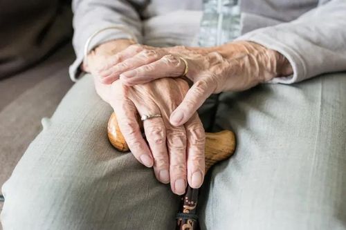 Phát hiện cách mới giúp chống lại hiện tượng lão hóa