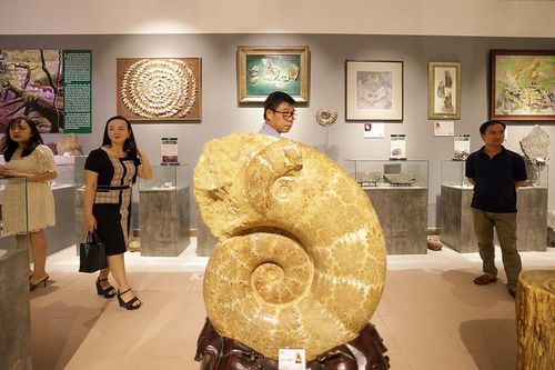 Ấn tượng Tuần lễ Festival Huế 2022